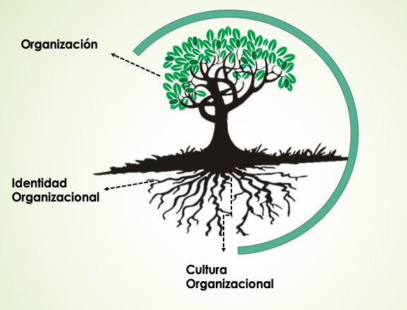 Figura
3. Metáfora
de la relación entre la cultura e identidad organizacional